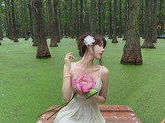-渌洋湖湿地公园