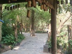 -桂林古东瀑布景区