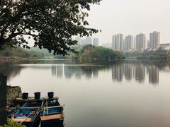 -重庆彩云湖湿地公园