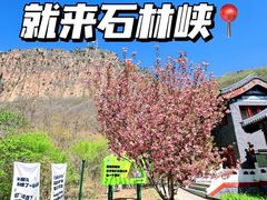 -京东石林峡风景区
