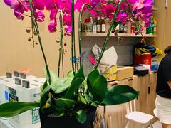 -兔爸私家小厨(新北万达店)