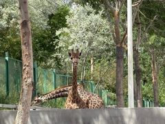 -水上乐园·欢乐世界