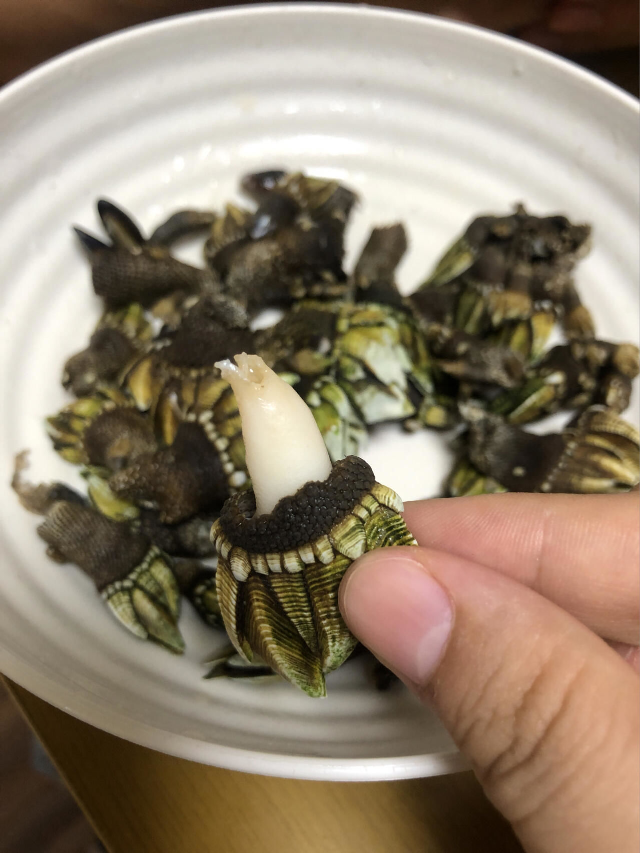 这是恶魔的爪子吗?