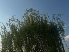 -名花谷生态庄园