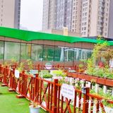 128元让宝宝体验采摘种植的趣味