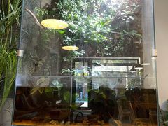 -小意思咖啡店(草桥店)