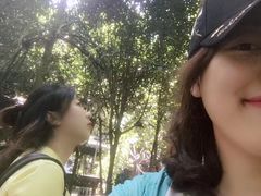 -凤栖山