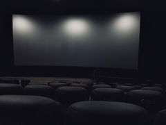 -上海金逸影城(静安大悦城店（原新恒星影城）)