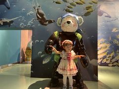 -成都泰迪熊博物馆