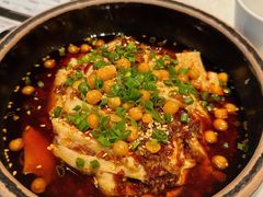 -新蜀会四川豆花(五羊店)