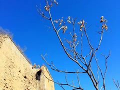 -蟠龙山长城景区