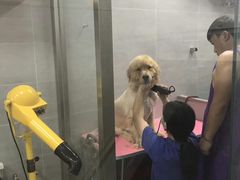 -宠福鑫康馨动物医院·骨科·眼科