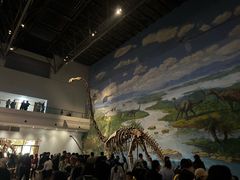 -自贡恐龙博物馆