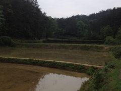 -韶山毛泽东同志故居