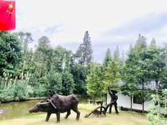 -上海长兴岛郊野公园