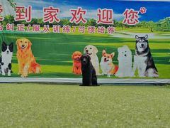-宠物寄养训练学校