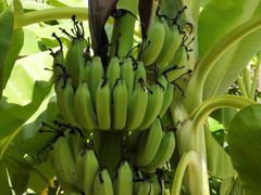 -亚马逊丛林水乐园