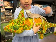 -FAIRYLAND龙族星球主题餐厅(凯丹广场店)