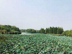 -艾溪湖湿地公园