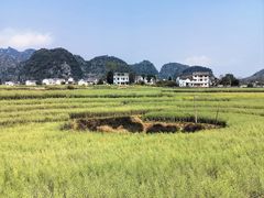 -万峰林风景区