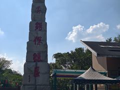 -中国扬子鳄村