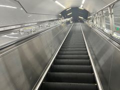 -八大关景区