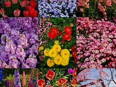 -上海浦江郊野公园·1号停车场