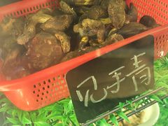 -阿山卓·野生菌火锅·纳西火塘烤肉