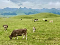 -新疆那拉提国家旅游度假区