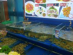 -天隆酒店·本地海鲜鲁菜(烟台大学店)