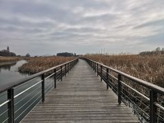 -苏州太湖湖滨国家湿地公园