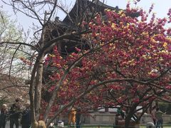 -西安青龙寺遗址景区