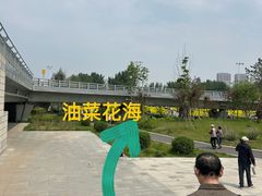 -长白岛森林公园