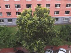 -吉林大学(南岭校区)