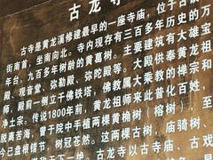 -黄龙溪古镇-古龙寺