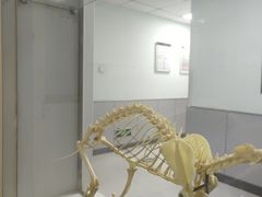 -酷宠动物医院(天通西苑店)