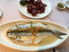 -天福苑(崇宁路店)