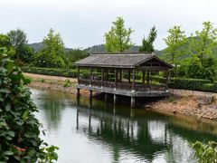 -帐篷客·溪龙茶谷度假酒店