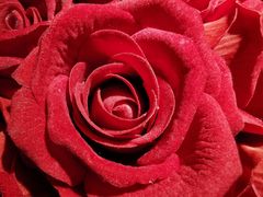 -华豫川酒家(大卫城店)