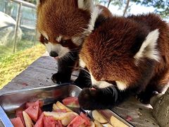 -水上乐园·欢乐世界