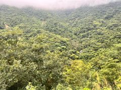 -梧桐山风景名胜区