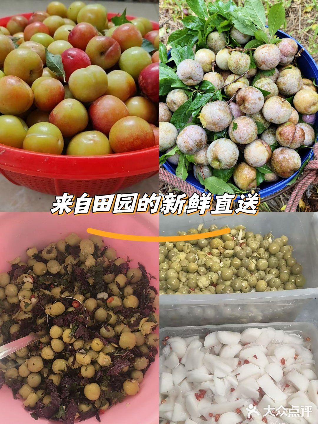 春天第一课李子你吃上了嘛？没吃上的赶紧来看看