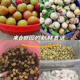 春天第一课李子你吃上了嘛？没吃上的赶紧来看看