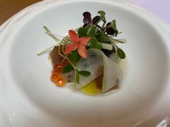 -蝶舍·MAISON PAPILLON