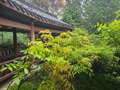 -龙头寺公园