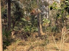 -上海怡沁园度假酒店