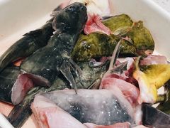 -胖师鱼馆非遗砂锅雅鱼(大北街店)