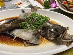 -强记海鲜·大排档(蛇口新街店)