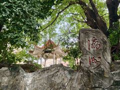 -小洲村