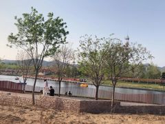 -羊亭河湿地公园